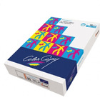 Papier ksero a4 color copy 220g (250)