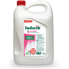 PŁYN D/NACZYŃ LUDWIK 5L MALINA