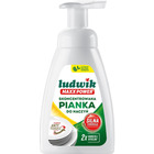 PIANKA DO NACZY� LUDWIK MAXX POWER 300ML
