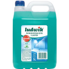 PŁyn do mycia szyb i luster ludwik 5l