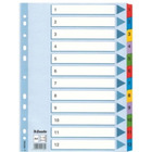 PrzekŁadki esselte mylar a4 kartonowe 1-12 100162