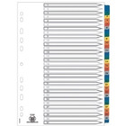 Przek�adki bantex mylar a4 kartonowe 1-31 m569587 100204620