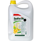 PŁyn ludwik do naczyŃ 5l cytryn.