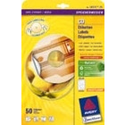 Etykiety avery zf l9660-25 na cd sup.size bia�e b�ysz(50)